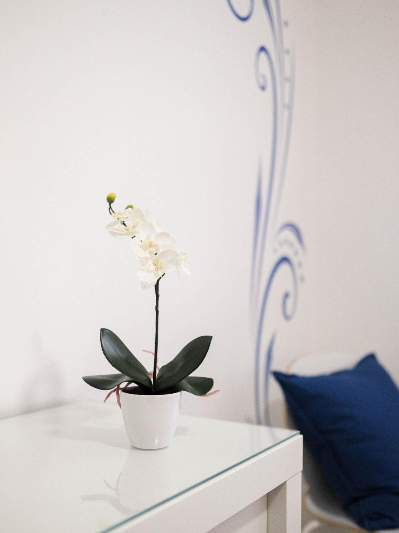 Cazenn Nazare - Apartment Z ภายนอก รูปภาพ